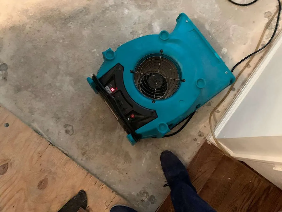 Air mover drying subfloor during Leak Detection & Repair in Magnolia